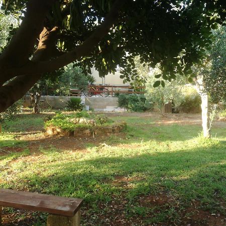 Appartamento Aquilone Castelluzzo Esterno foto
