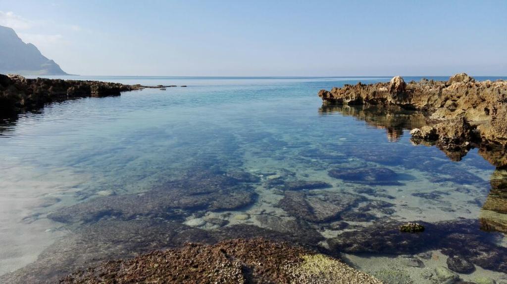 Appartamento Aquilone Castelluzzo Esterno foto